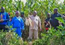 Burundi : Le Chef de l’Etat plaide pour la culture des semences sélectionnées et hybrides