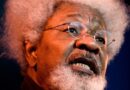 Nigeria : Auteur d’une cinquantaine d’ouvrages, Wole Soyinka fête ses 90 ans d’existence