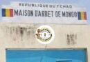 Tchad : À Mongo, la justice a été exécutée en pleine audience
