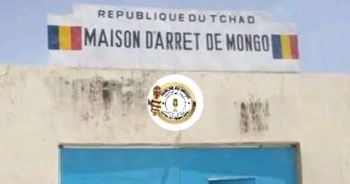 Tchad : À Mongo, la justice a été exécutée en pleine audience