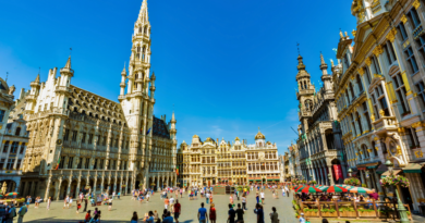 Belgique : le Conseil d’État confirme l’exclusion définitive d’un professeur pour incitation à la haine Belgique : le Conseil d’État confirme l’exclusion définitive d’un professeur pour incitation à la haine