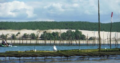 France : Jean Jacques Marie Cyprien Victor Coste et Marguerite Chanvil – de la renaissance de l’ostréiculture au quai des futurs en nutrition-santé France : Jean Jacques Marie Cyprien Victor Coste et Marguerite Chanvil – de la renaissance de l’ostréiculture au quai des futurs en nutrition-santé