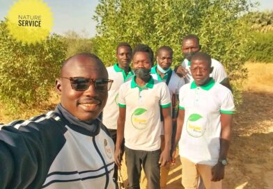 Tchad : Nature Service : quand un entrepreneur tchadien mise sur l&rsquo;agriculture biologique pour nourrir et former la jeunesse