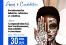 Tchad : l’Institut français lance une formation aux industries culturelles et créatives Tchad : l’Institut français lance une formation aux industries culturelles et créatives