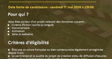 Cameroun : Cinéma, docu, animation, séries : l’Institut français du Cameroun lance un appel à projets audiovisuels pour 2026-2027