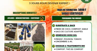 Tchad : Inscrivez-vous avant le 30 avril : 3 jours pour devenir expert en agriculture hors-sol à N’Djaména