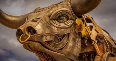 Royaume-Uni : William Ehrhardt (1831-1897) un horloger qui arriva en Angleterre en 1851, année de la Grande Exposition