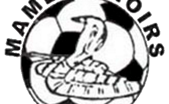 Bénin : Drame à Pélibina : Deux jeunes footballeurs du Mambas Noirs FC trouvent la mort dans un accident