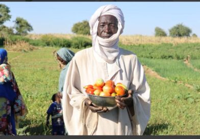 Tchad : Des sols plus riches, un avenir plus prometteur : renforcer la résilience au pays 