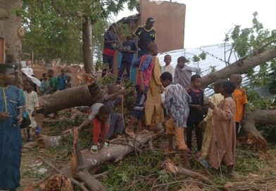 Tchad : Drame à Pala : un enfant tué et plusieurs blessés après la chute d’un arbre sur une école coranique
