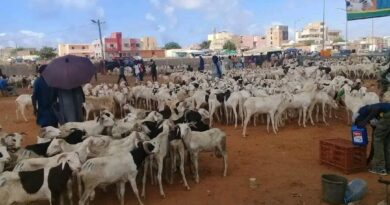 Burkina Faso : Tabaski 2026 : le pays suspend toutes les exportations de bétail pour préserver le marché intérieur
