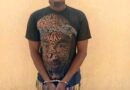 Burkina Faso : Ouagadougou : un cyber-escroc arrêté pour avoir vendu des moutons fictifs sur Facebook