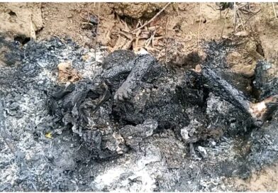 Tchad : « Il voulait le transformer en serpent » : au Moyen Chari, un enfant brûlé vif lors d’un rituel de « délivrance »