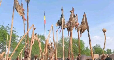 Tchad : À Léré, la fête de la pintade « Fiŋ Loo » célèbre la tradition moundang en grande pompe Tchad : À Léré, la fête de la pintade « Fiŋ Loo » célèbre la tradition moundang en grande pompe