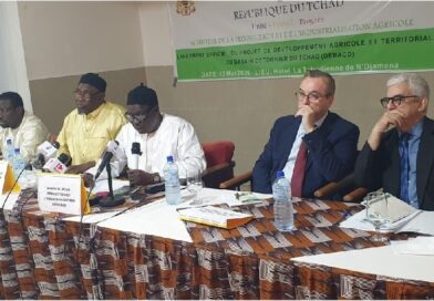 Tchad : Coton : le pays  mise sur un appui français de 22,5 millions USD pour relancer sa filière.