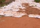 Tchad : Le cri d&rsquo;une porte fermée : à Keuni, un père de cinq enfants se brise sur un refus
