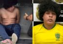 Brésil : un jeune homme de 19 ans arrêté pour avoir diffusé en ligne des actes de torture sur plus de cent animaux