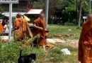 Thaïlande : huit moines fauchés par un pick-up conduit par un enfant de 11 ans
