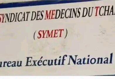 Tchad : l&rsquo;Ordre des médecins met en garde contre les fausses offres de soins sur les réseaux sociaux