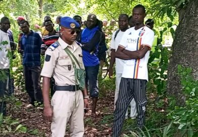 Tchad : une fillette de 10 ans électrocutée par des barbelés électrifiés à Monsiara