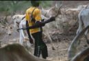 Nigeria : au moins 18 morts dans de nouvelles attaques à Benue, la population réclame une protection renforcée