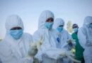 RDC: Ebola : L&rsquo;OMS alerte sur une sous-évaluation massive des cas, le virus pourrait être « deux à quatre fois » plus répandu