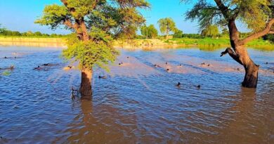 Tchad : Noyade tragique d’un adolescent à Am-Timan : le corps toujours recherché dans le Bahr-Azoum Tchad : Noyade tragique d’un adolescent à Am-Timan : le corps toujours recherché dans le Bahr-Azoum