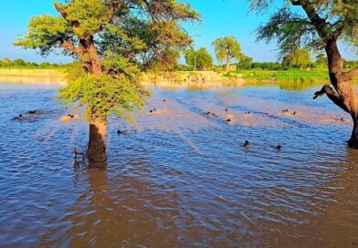 Tchad : Noyade tragique d’un adolescent à Am-Timan : le corps toujours recherché dans le Bahr-Azoum