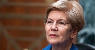 États-Unis : Elizabeth Warren fustige Donald Trump et ses « amis du pétrole » : « une guerre pour remplir leurs poches » États-Unis : Elizabeth Warren fustige Donald Trump et ses « amis du pétrole » : « une guerre pour remplir leurs poches »