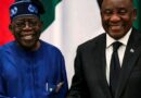 Afrique : xénophobie : le Nigeria coupe ses liens parlementaires avec l&rsquo;Afrique du Sud 