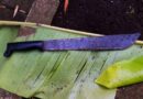 Côte d&rsquo;Ivoire : un jeune planteur tué à coups de machette par son frère à Sikensi