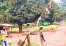 Centrafrique : 14 barrières illégales sur 14 kilomètres de route à Ngaoundaye