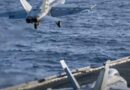 Iran : Téhéran annonce avoir abattu un drone américain au-dessus de Bandar Abbas